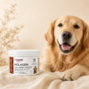 Bovine Collagen Tripeptide 140 g PETS – kolagen wołowy tripeptydy dla zwierząt na stawy, mięśnie i regenerację