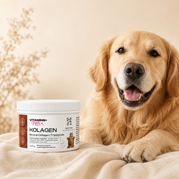Bovine Collagen Tripeptide 140 g PETS – kolagen wołowy tripeptydy dla zwierząt na stawy, mięśnie i regenerację
