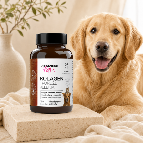 Kolagen + Poroże Jelenia PETS 180 kapsułek – wsparcie mięśni, stawów i kondycji fizycznej dla zwierząt